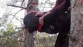 Tied up to a tree outdoor on charming clothes, wearing pantyhose and high ankle boots heels, rough fuck